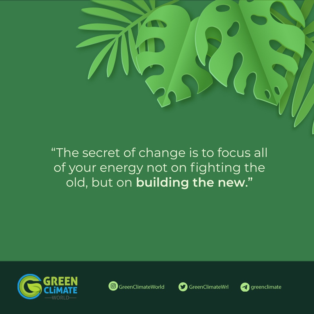 linktr.ee/greenclimate 🌱🌲🌍

#nature #green #climate #world #naturelovers #project #blockchain #cryptocurrency #life #WGC #WGCToken #greenclimateworld #plant #tree