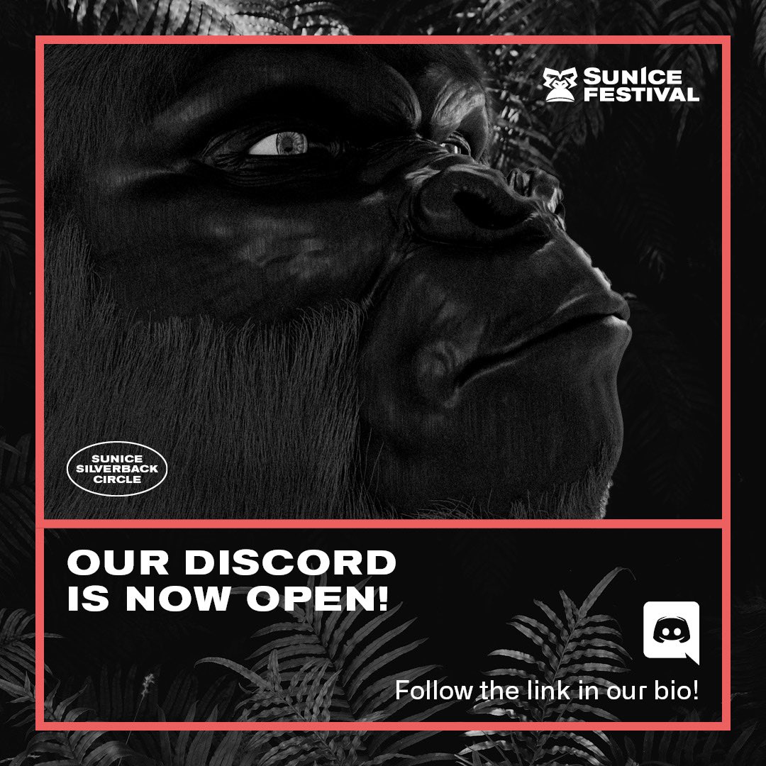 Our Discord is Open Now!
Follow the Link in our bio to join.

Gamble your way up the leaderboards to win a Whitelist Spot!
Or chat to the other possible Silverback owners, the best 100 chatters get a Whitelist Spot!

#nft #ssc #whitelist #discord