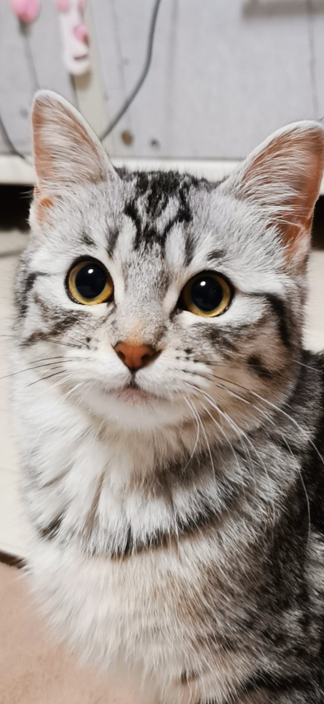 Oni Mmfykhjtqm