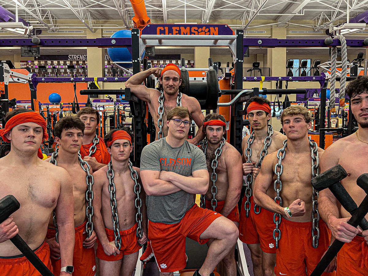 BT Potter tweet media