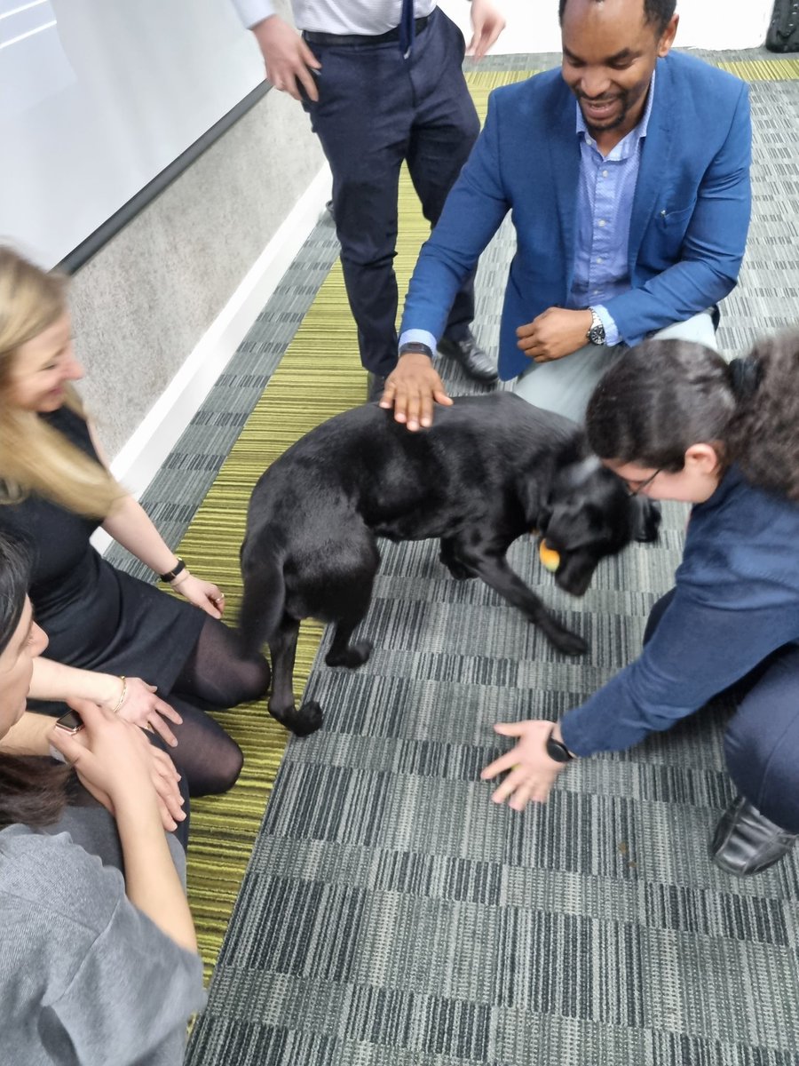 With Dexter today the Wellbeing Dog #wellbeingdog #mentalhealth #doglovers