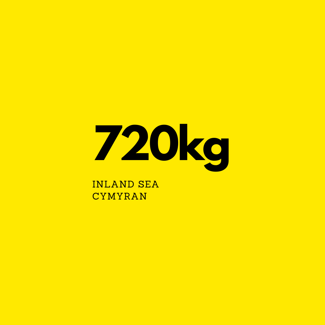 One Global Ocean tweet media