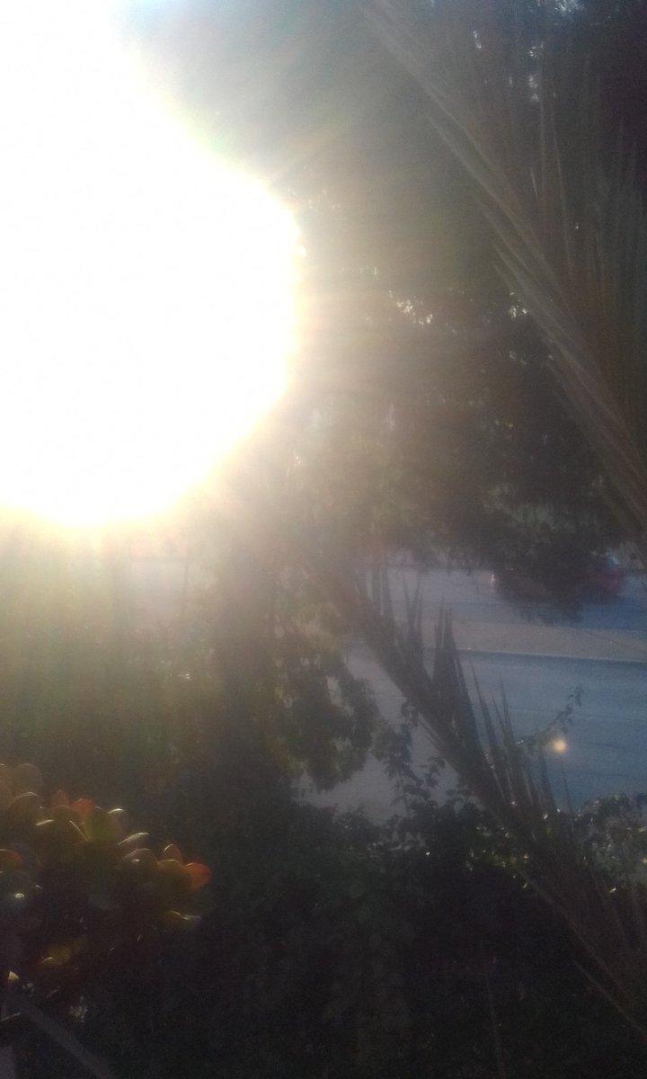 اما ان تكون أو لا تكون
To be or not to be that's the question