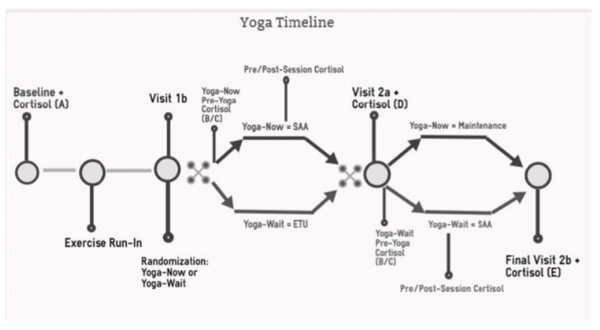#Newpub in Comprehensive Psychoneuroendocrinology by <a href="/CUPhysMed/">CU Anschutz Physical Medicine</a> faculty <a href="/LisaABrenner/">Lisa Brenner</a> <a href="/jeri4ster/">Jeri Forster</a> <a href="/drlmbetthauser/">Lisa Betthauser</a> <a href="/nbahraini11/">Nasi Bahraini</a> on Association between perceived distress and salivary cortisol in veterans with mTBI. doi.org/10.1016/j.cpne…