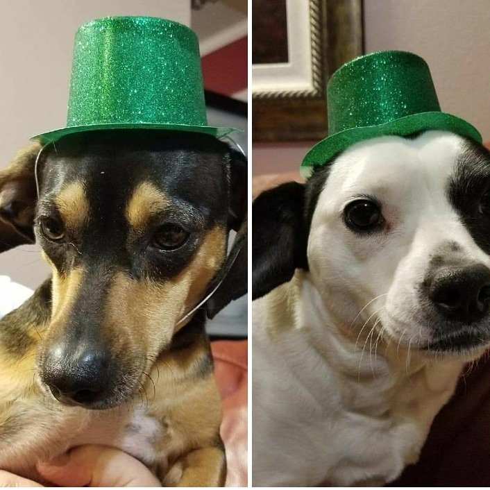 Bill Person tweet media