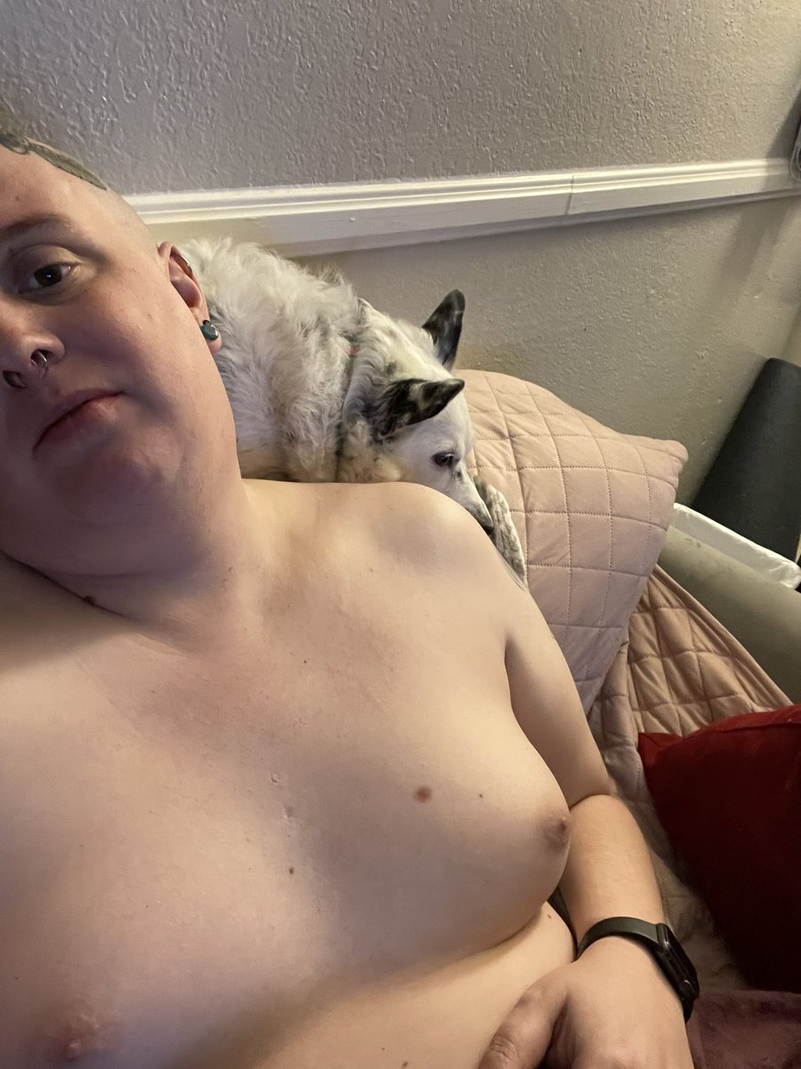 LadyAda7's tweet image. The feminine urge to post tits on main