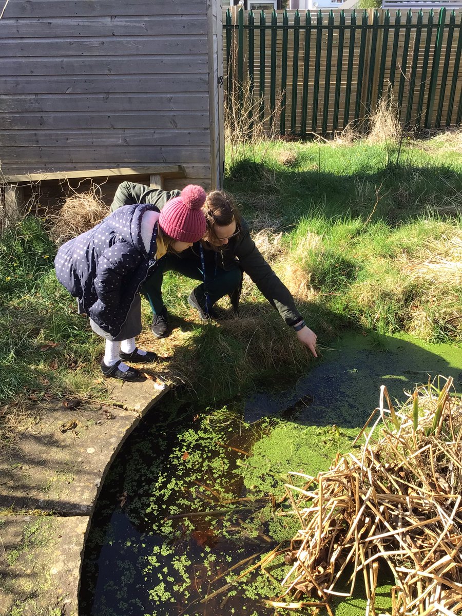 RedClassCharlt1's tweet photo. Frog Spawn in the pond! 🐸🐸🐸🐸 https://t.co/Vep0nAoK33
