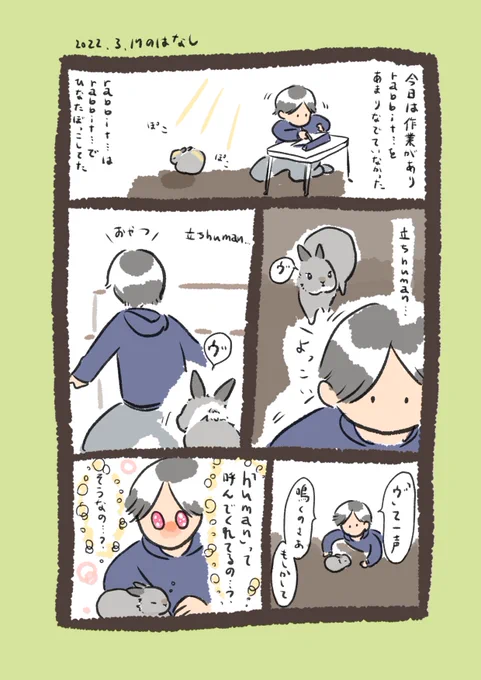 今日のrabbit…
#うさぎのいる生活 