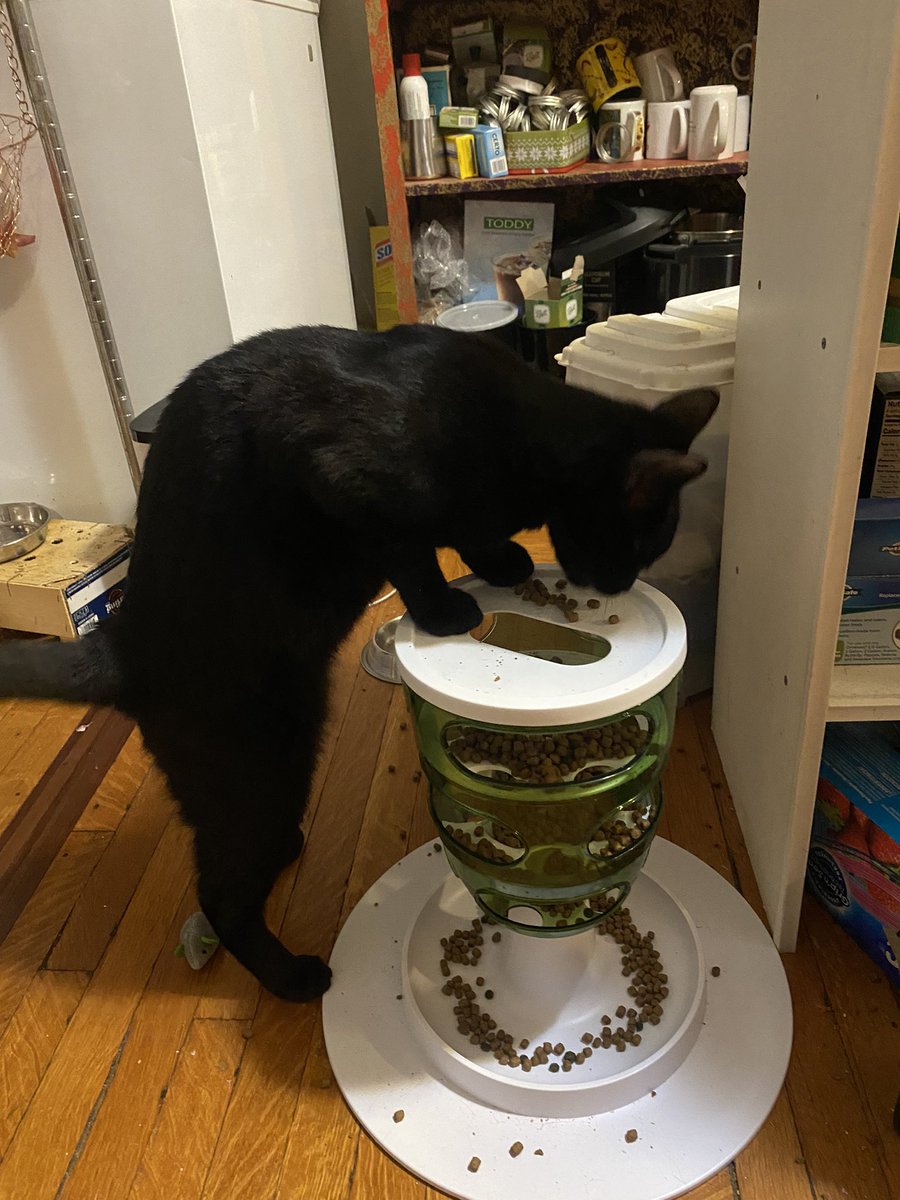 ScoginsBitch's tweet photo. @IAmGoldenHolden @InOrderOfImport He’s long! https://t.co/XIQJdNaNbK