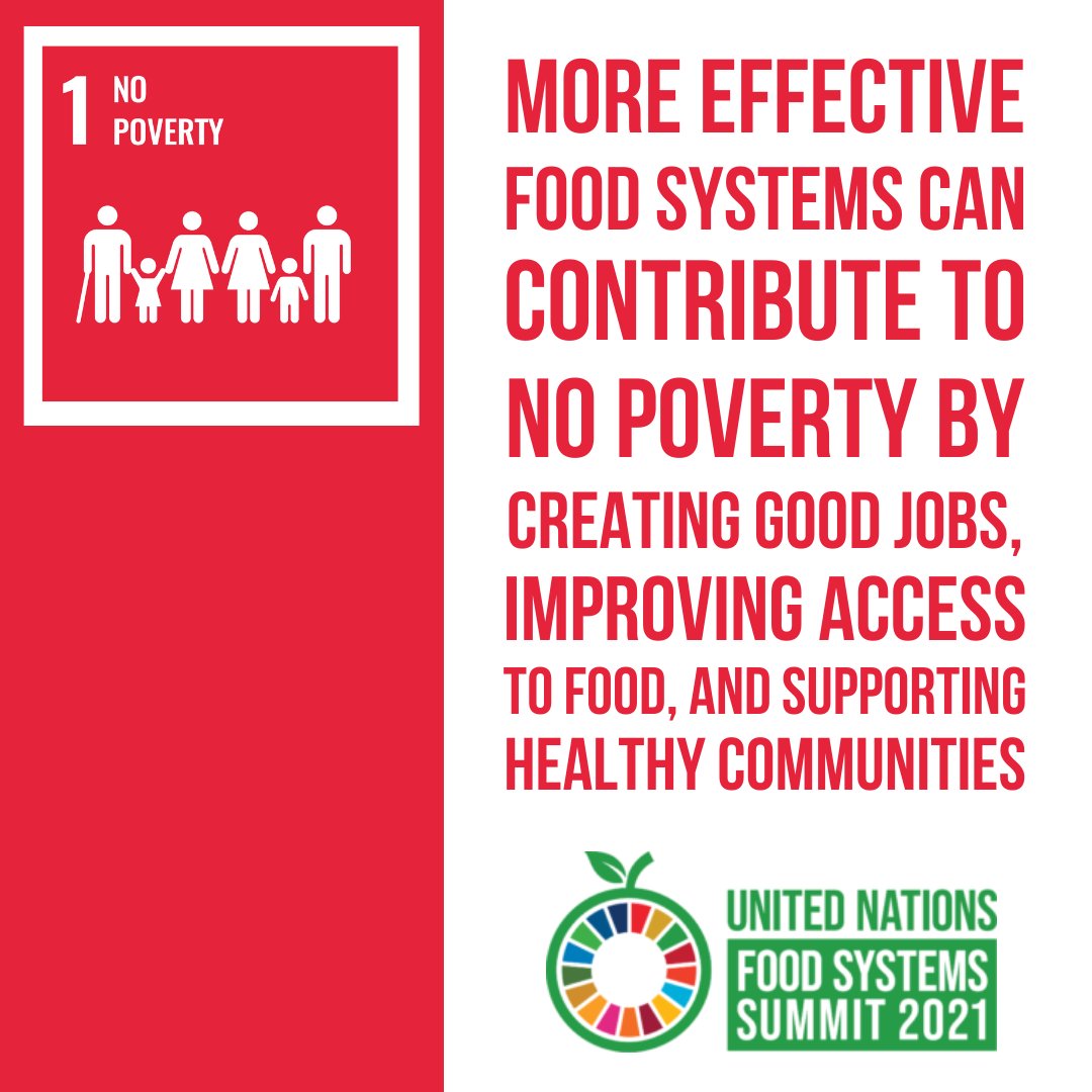 The #COVID19 pandemic is set to push even more people into poverty.

And it is projected that around 600 million people will still live in poverty by 2030.

Effective #FoodSystems can create good jobs, improve access to food, support healthy communities, and help achieve #SDG1!