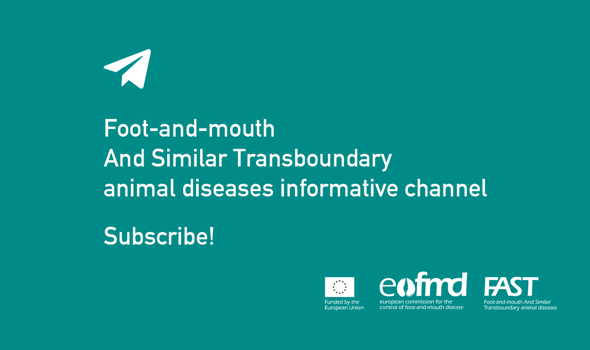 Eufmd's tweet photo. Do you work in the #animalhealth field? 🐮 
Are you interested in keeping up-to-date with #learning experiences, #jobaids, our photo database of FAST diseases, the knowledge bank, and other relevant resources? 

Join our Telegram channel👉 https://t.co/zpuknTzRQ0 https://t.co/wxfTvBI3hn