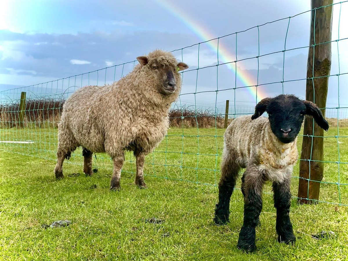 FarmingUK tweet media