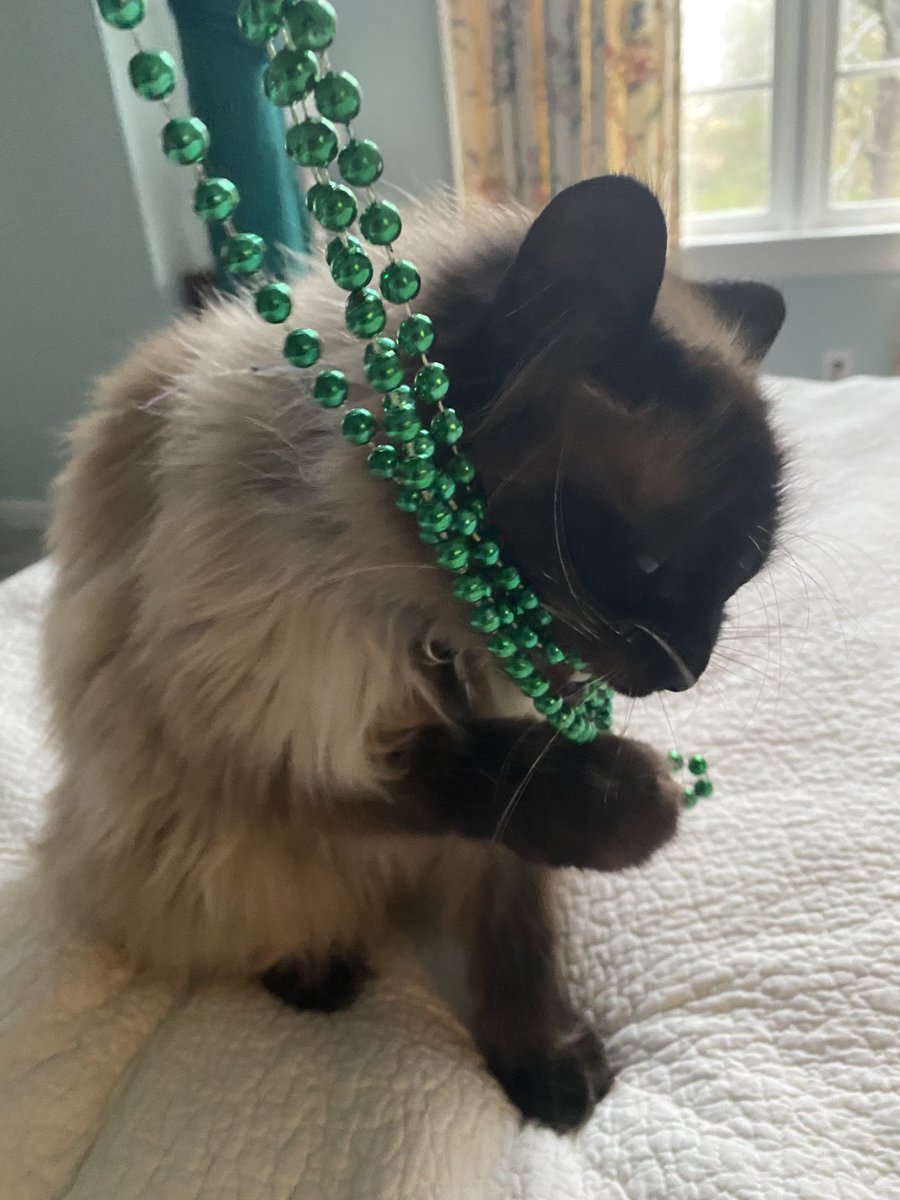 Her name is Banshee.