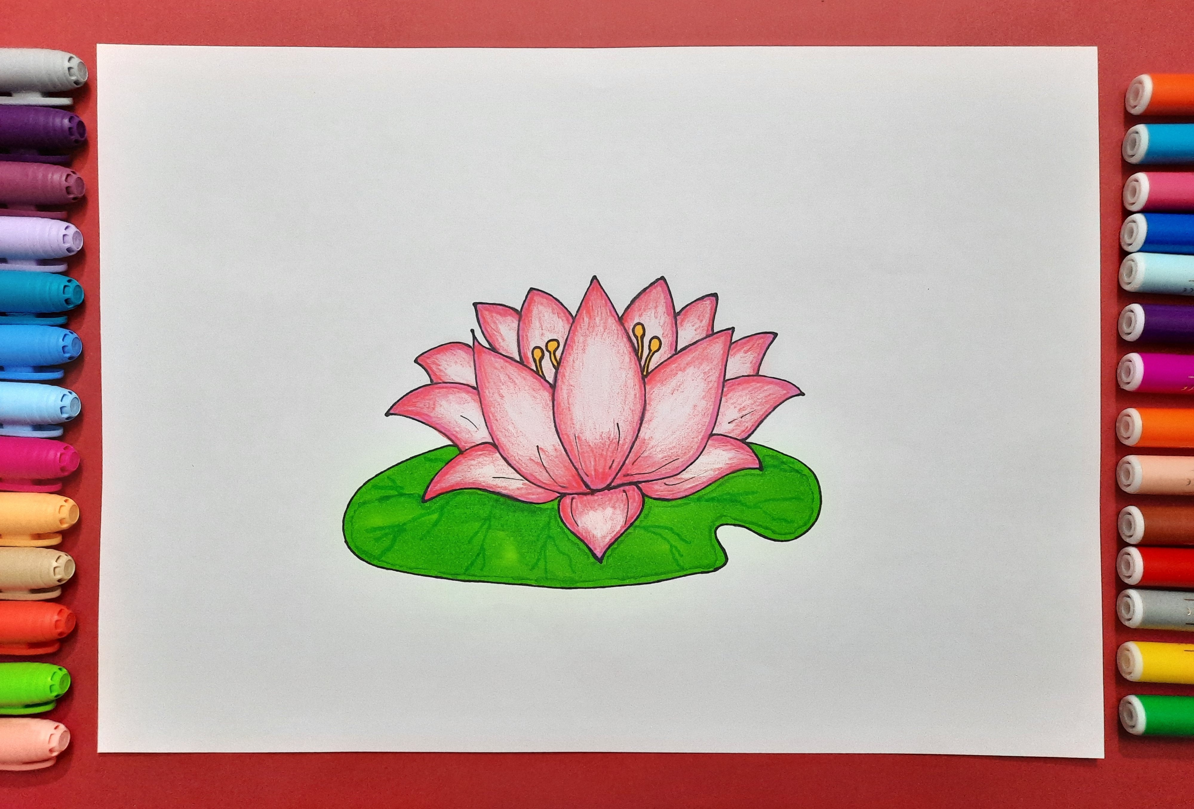 Lotus flower on sale drawing colour