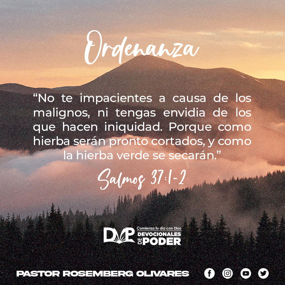 PastorRosemberg's tweet photo. Un nuevo día que Dios nos da para disfrutar de todas sus grandes y abundantes bendiciones.
#DevocionalesdePoder #Ordenanza #Promesa https://t.co/PWqa4hBioT