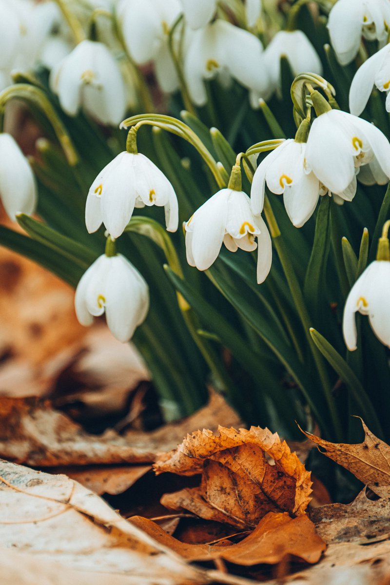 A few pictures from the morning photoshoot 🐿️🌿
#SPRiNG #wildlifephotography #Squirrels