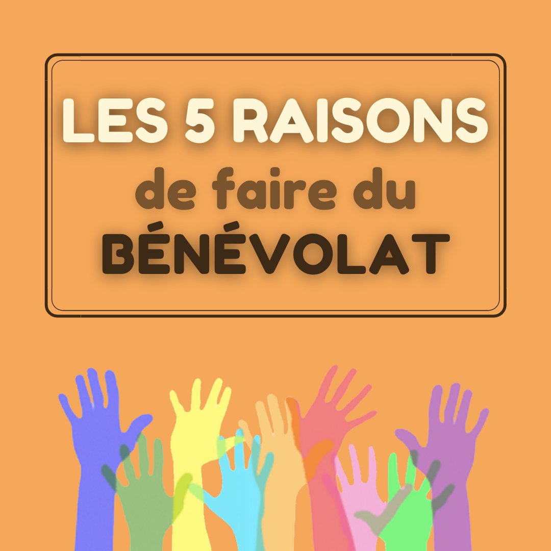 Tous Bénévoles tweet media