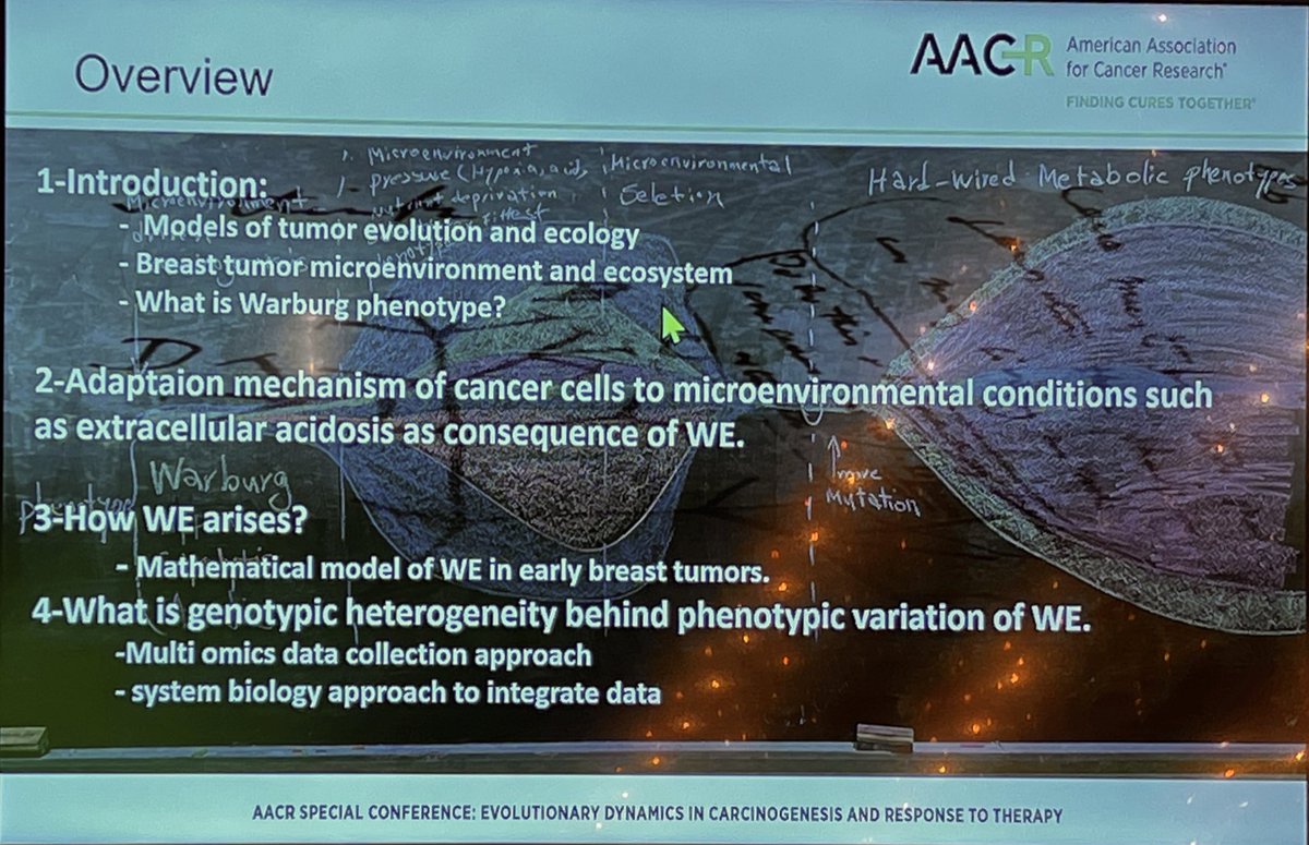 ara_anderson's tweet photo. Next up is friend and former @MoffittResearch colleague @mehdiDamaghi presenting: Selection for a glycolytic phenotype #AACRevol22 Mehdi recently started a new lab at @stonybrooku https://t.co/jLazJJUqP1