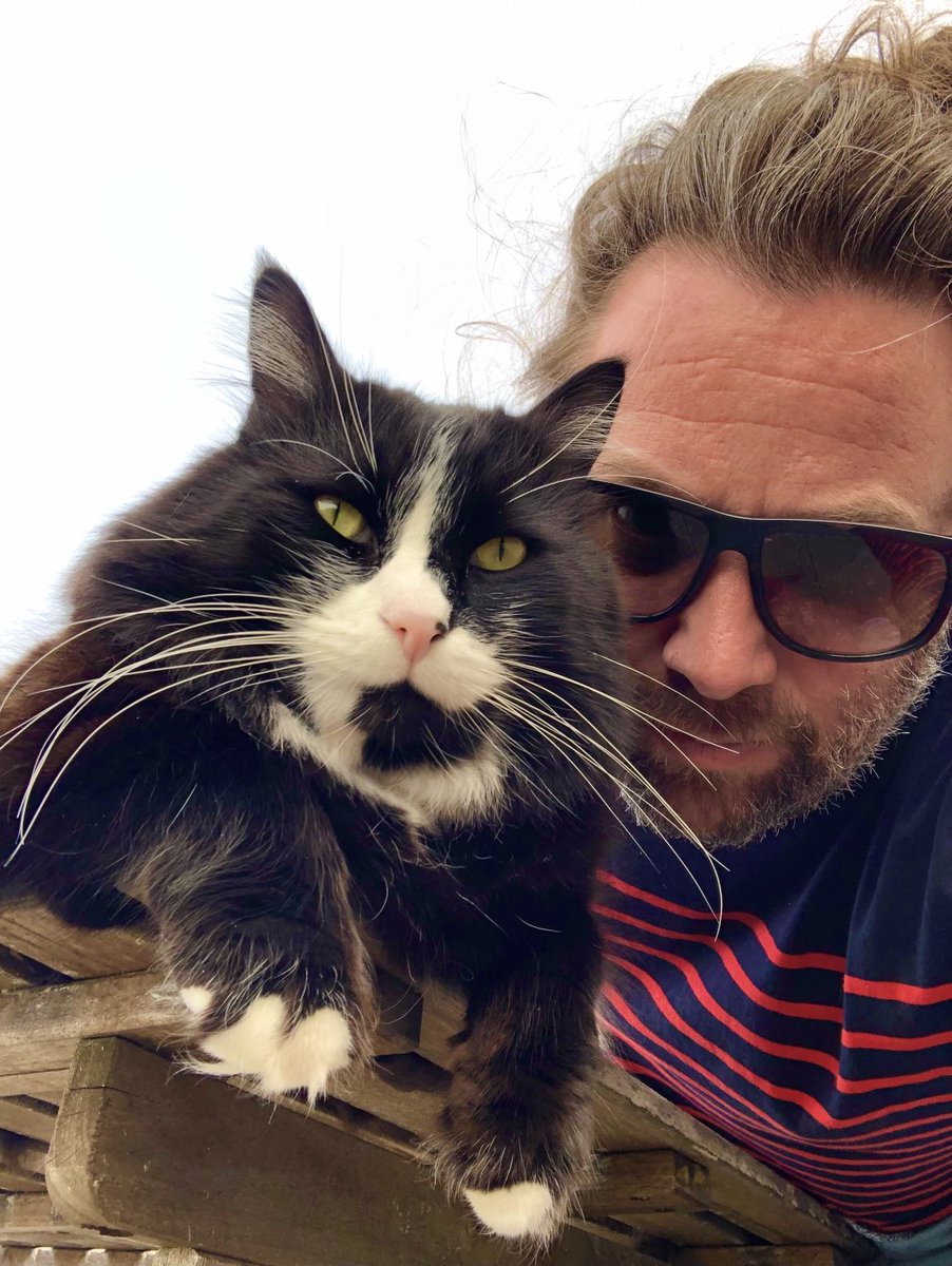 ChatMiles's tweet image. Les rois du fluff