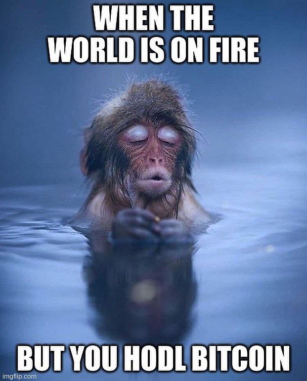 Sweet Dopamine | Autonomous Trading tweet media