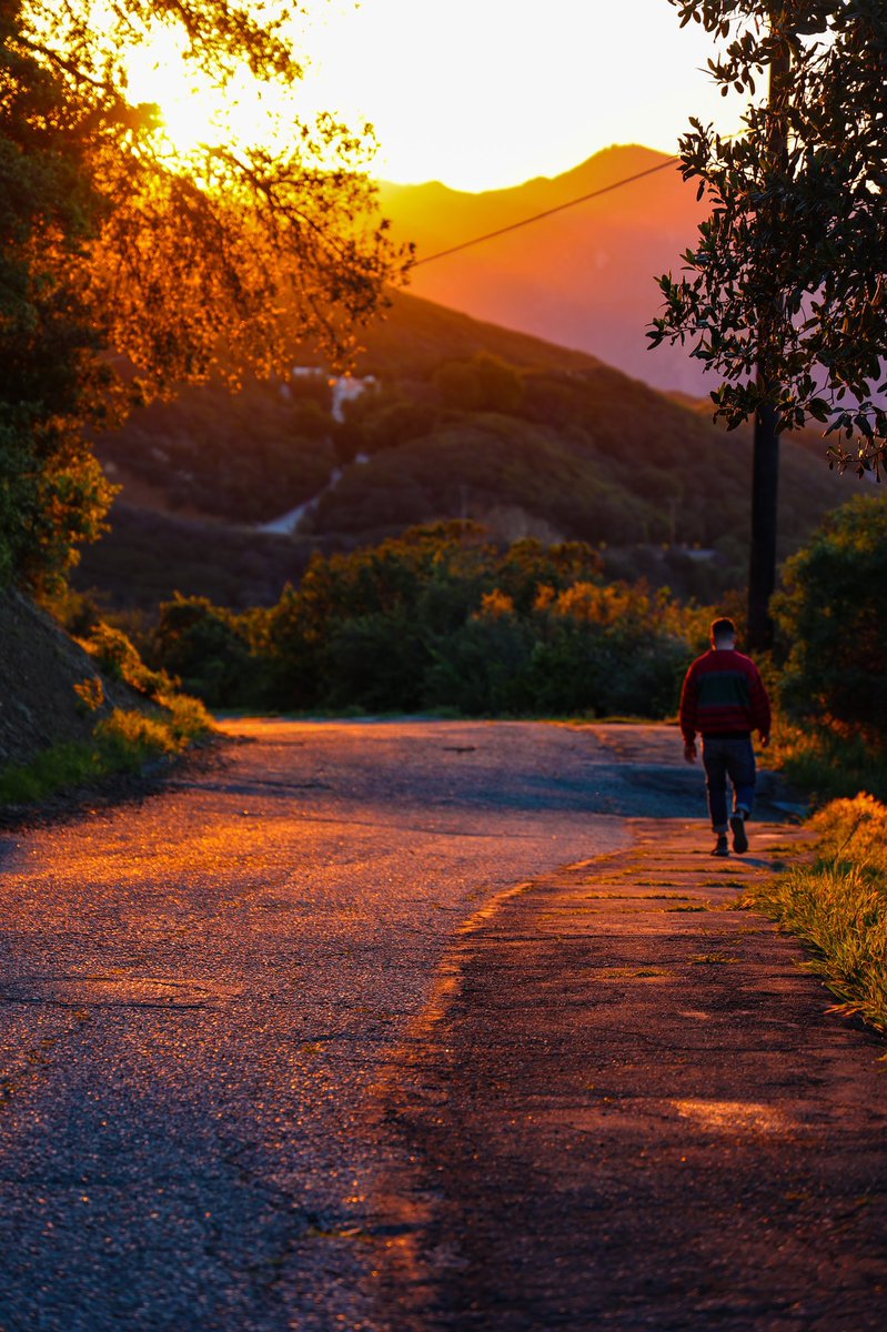 mikefriend. tweet media