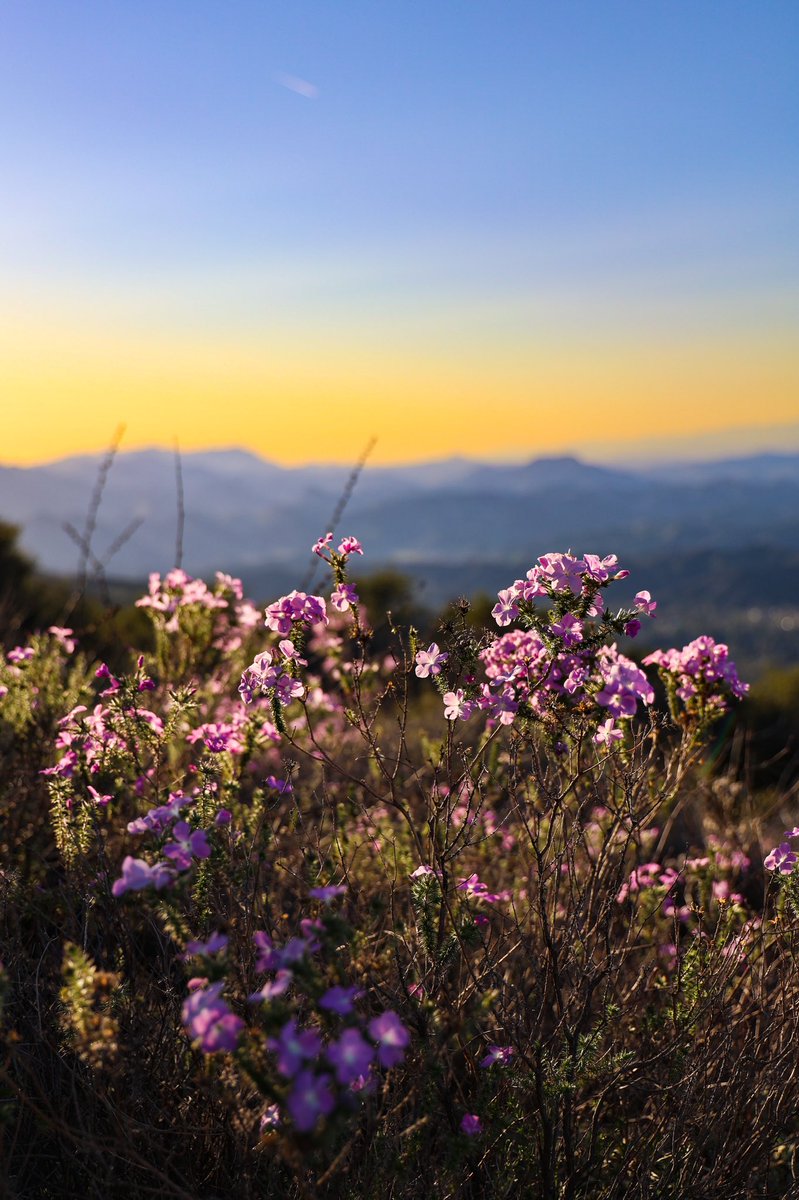 mikefriend. tweet media