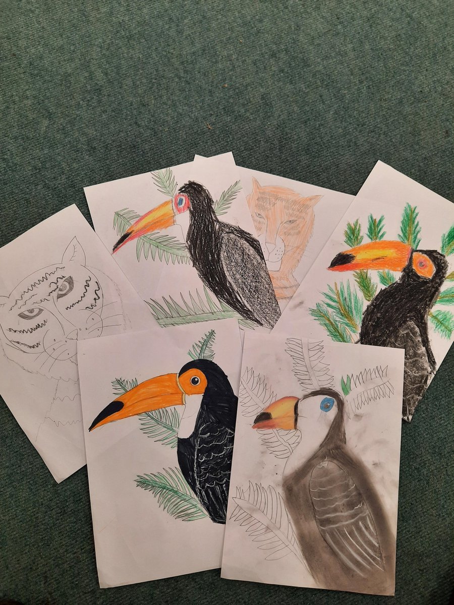 Dahl 🌴🦜🦁have been busy this week with some really creative work- safe to say I think we have some future artists in the class 🌴🦜🦁
We are studying the artist Henri Rousseau and the children have sketched and coloured some rainforest animals. We focused on Tigers and Toucans