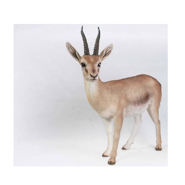 I can't wait for Pete Davidson to get a hold of Gazelle and watch Tom Brady lose his shit.