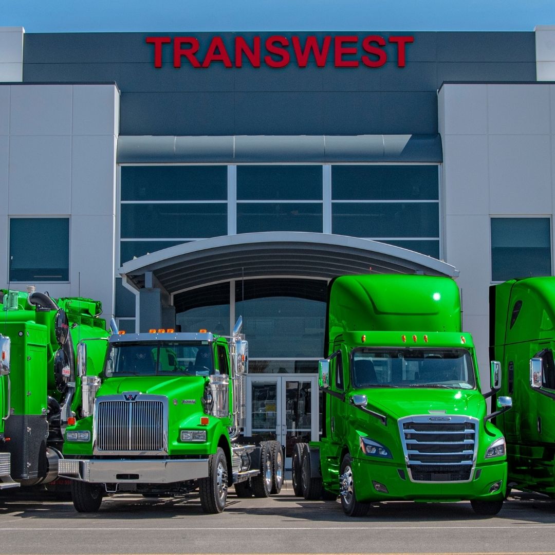 transwesttrucks's tweet photo. To all our employees, customers and partners, #HappyStPatricksDay from all of us at #TranswestTrucks ☘️ 

We're lucky to have you with us🍀

#StPatricksDay #KeepAmericaMoving #ThankATrucker #FreightlinerTrucks #WesternStarTrucks #ShamRockandRoll #stpatricksday2022 #luckoftheirish https://t.co/2zji8IzuBb