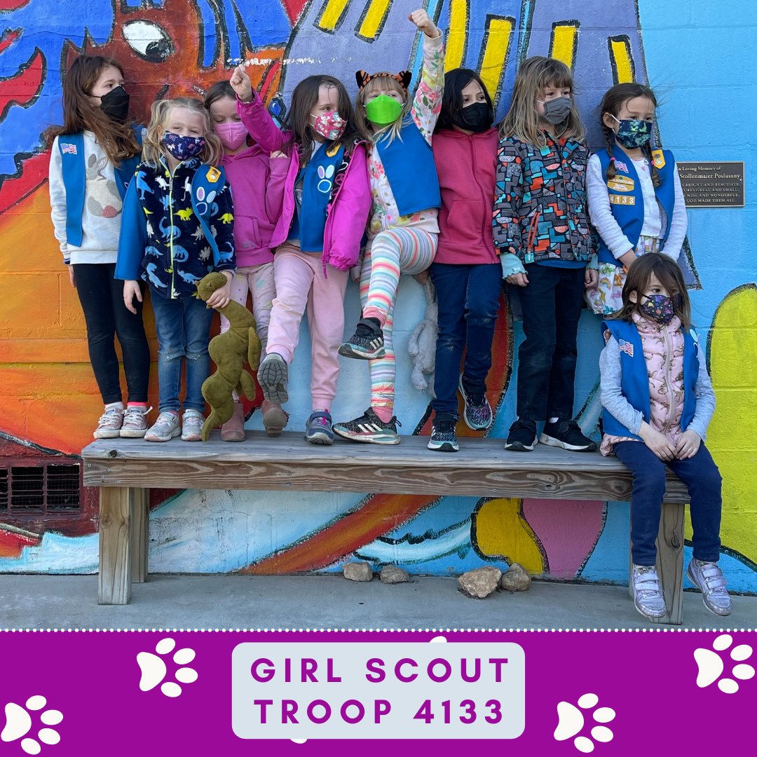 bmorehumane's tweet photo. We would like to thank Girl Scout Troop 4133 for a fantastic tour! 🎉It was so much fun having you at the shelter. Thank you for making enrichment toys for our adoptable animals. #girlscouts #scout #troops #tour #hadablast #bmorehumane #baltimorehumane https://t.co/lvVPnv99f2