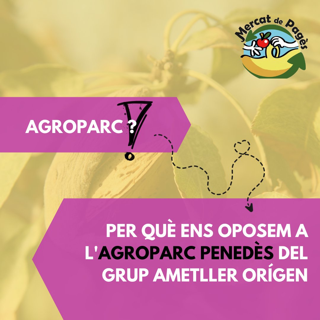 MercatDePages's tweet photo. Des de #MercatdePagès ens oposem rotundament a l'#Agroparc de @ametllerorigen.
Un projecte que NO és de proximitat i NO és ecològic.

· No farà agricultura ecològica ni coherent amb l'entorn.
· Trencarà el connector ecològic de Roques Blanques i Montserrat
#stopagroparc  #Penedès https://t.co/8fdgawIMgz