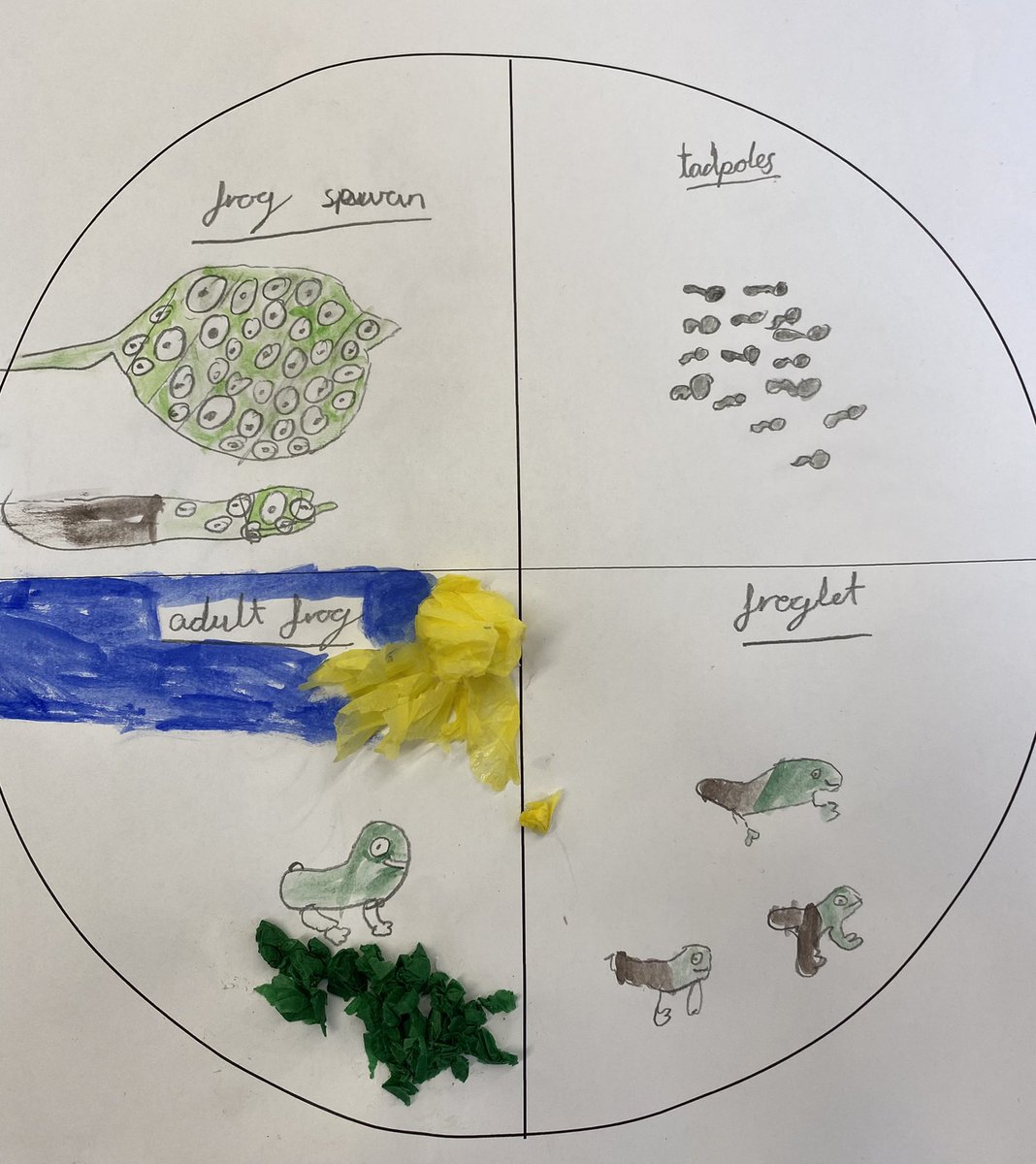 Year3_UCPS tweet media