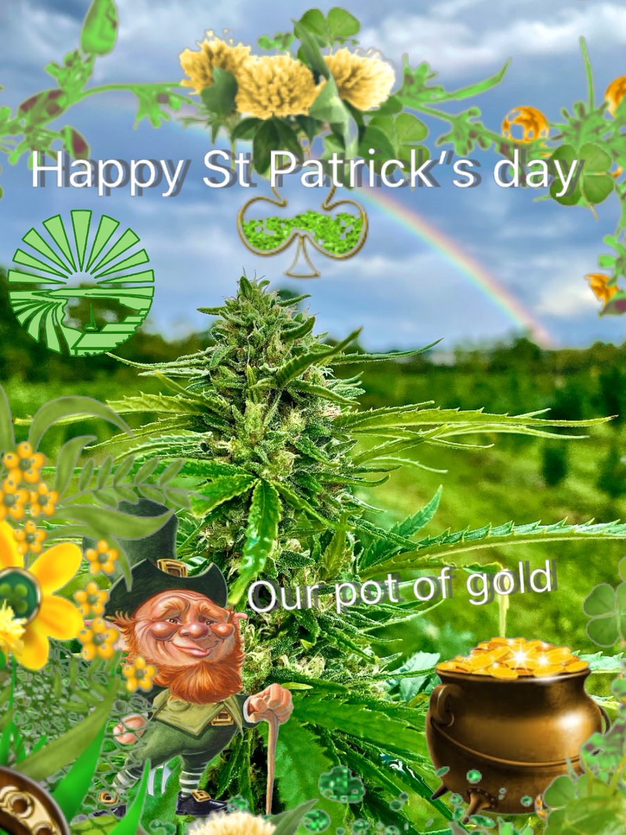 Happy Saint Patty's Day 🍀