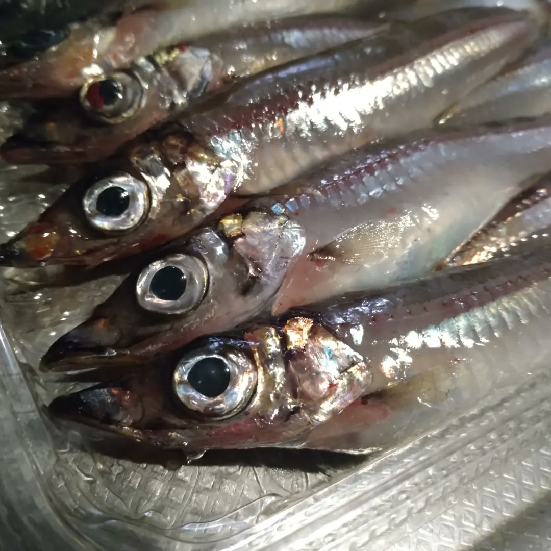 U7uykttzu4nnzm U7uykttzu4nnzm