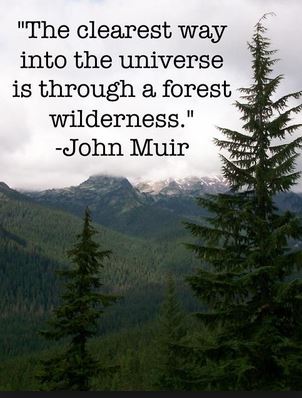 jamesvgingerich's tweet photo. The clearest way.  #JohnMuir #Quotes #ThursdayMotivation #ThursdayThoughts https://t.co/R4KdSQICsc