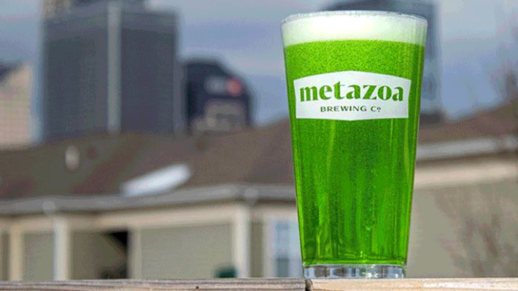 VisitIndy's tweet photo. Happy #StPatricksDay!There are plenty of reasons to explore your local breweries  in #LoveIndy. 🍀 

Check out our latest blog on the best places to grab brews for celebration: https://t.co/GAmB06tKry

#IndyCraftPass https://t.co/s54EfLrXQM