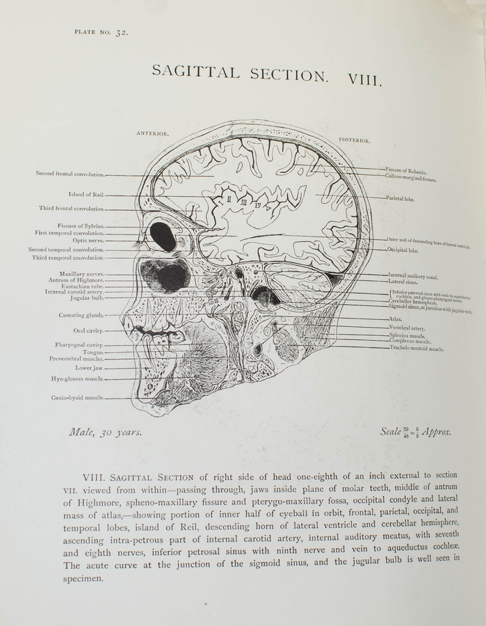 During #BrainAwarenessWeek, we’re looking at Glasgow’s contribution to neurology &amp; neuroscience. Our incredible ambassadors lead the way in research, as well as bringing experts together to meet in #Glasgow. 
Find out more here: glasgowconventionbureau.com/news/the-brain… 
#BrainWeek🧠