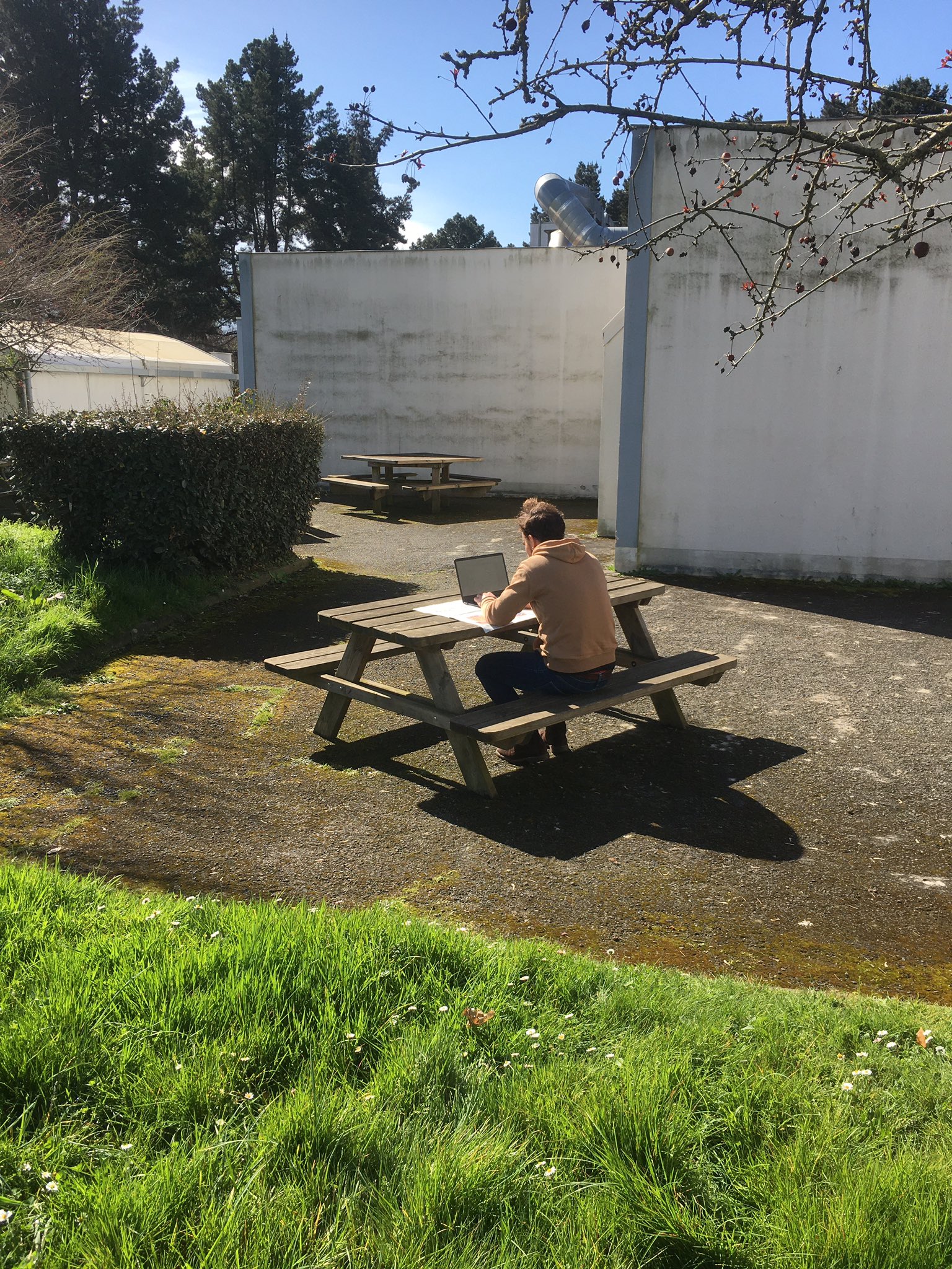 Climate Change Lab aka CC-Lab on Twitter: