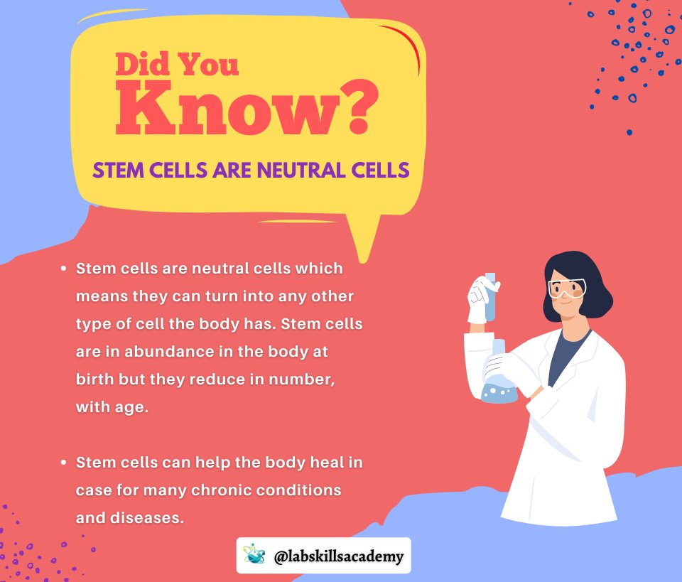 labskillacademy's tweet photo. You’ve probably heard about STEM CELLS by now!
Stem cells are undifferentiated cells. They are the body’s “master cells”.
#scienceblogger #scienceblog #phdlife #stemcell #medicine https://t.co/uVGY5Q49gz