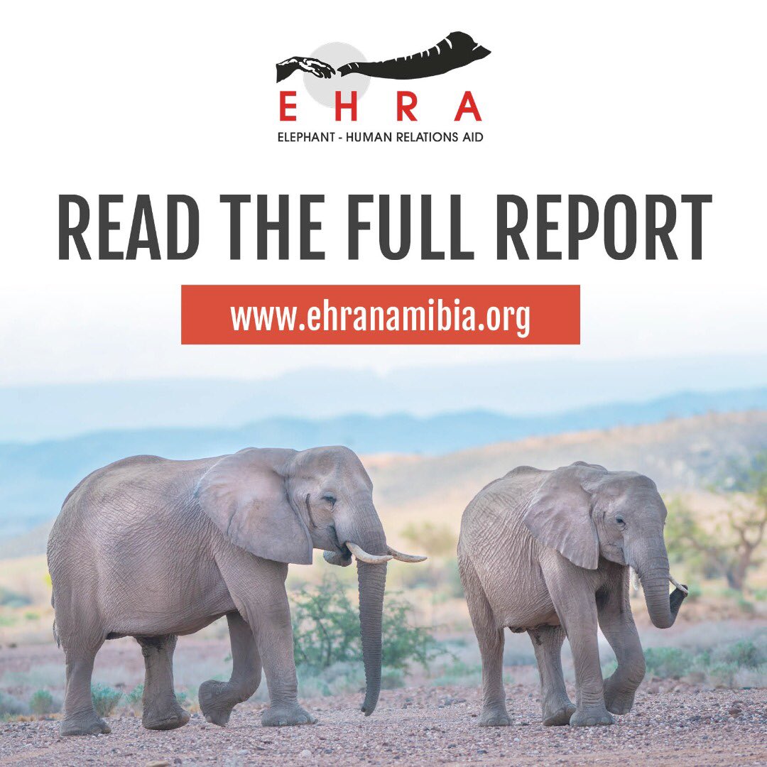 Elephant-Human Relations Aid tweet media