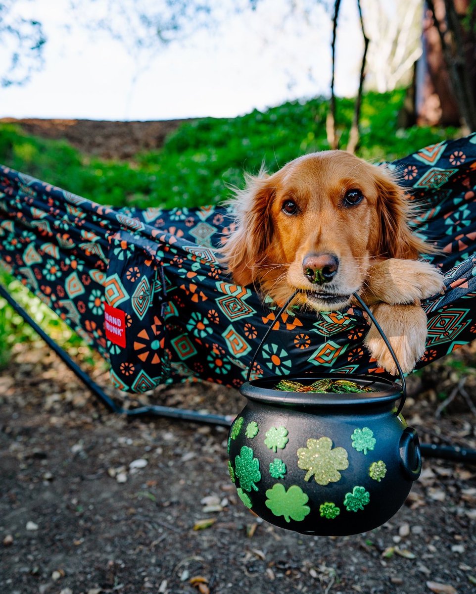 🍀 Happy St. Patrick’s Day 🍀
.
.
@grandtrunkgoods #goodsfortheroad 
Ambassador 📸: <a href="/goldengalaspen/">Aspen + Kelsie</a>