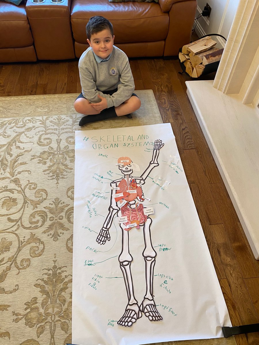 FionaHo62059911's tweet image. Noah Coyle (P4a) loved matching bones and organs for his STEM project! #OLMSTEM #ERCSTEM @OLM_Primary