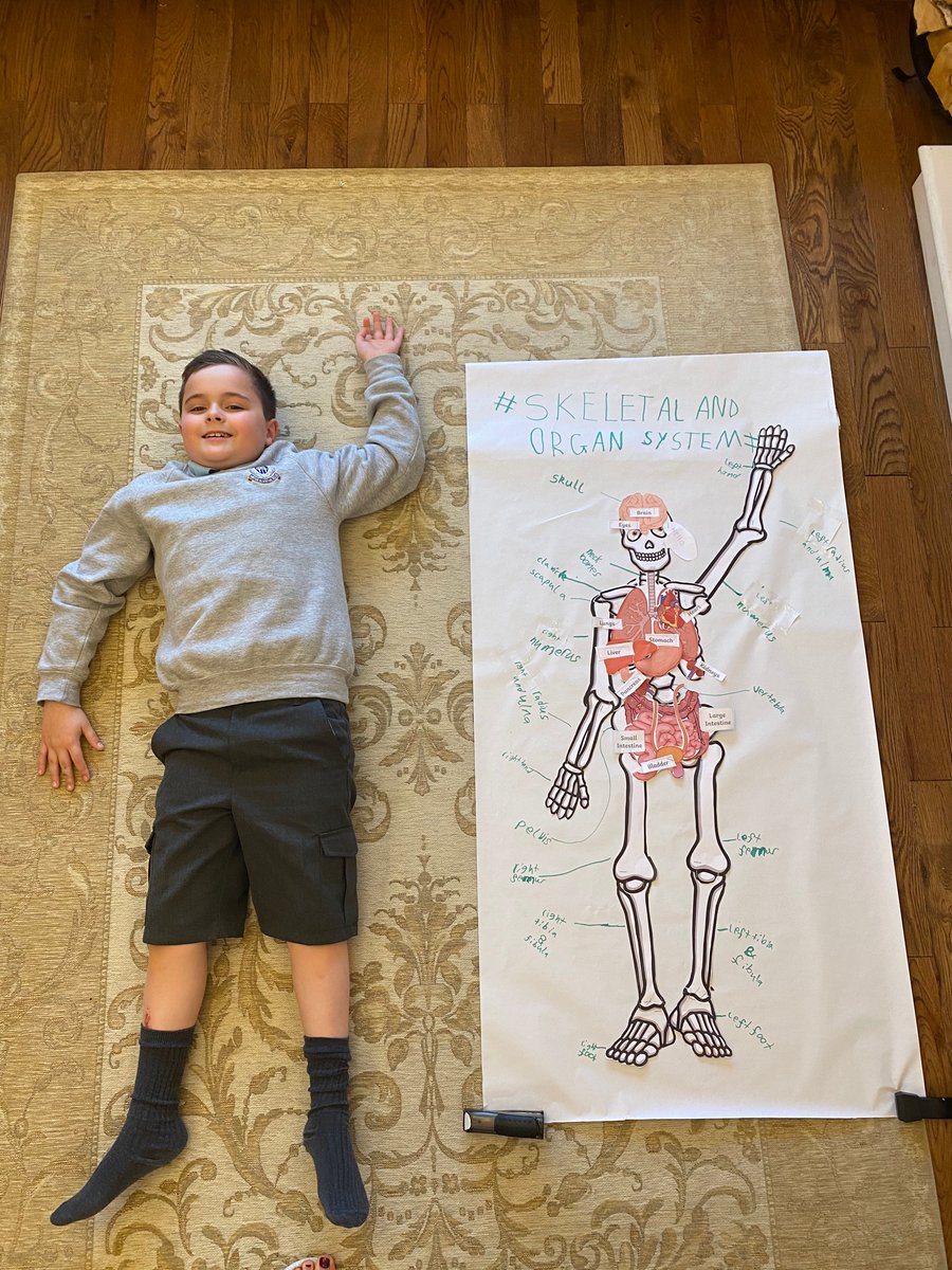 FionaHo62059911's tweet image. Noah Coyle (P4a) loved matching bones and organs for his STEM project! #OLMSTEM #ERCSTEM @OLM_Primary