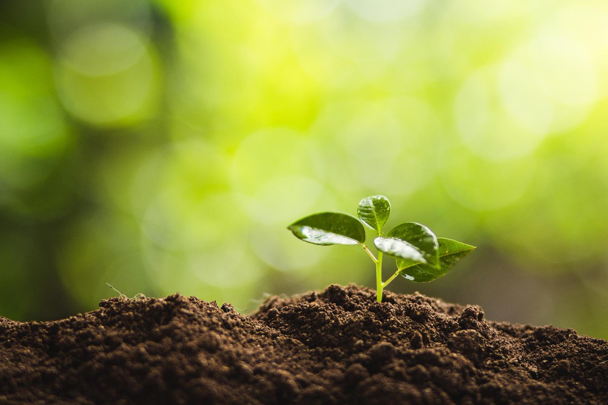 abbviecanada's tweet photo. Chez AbbVie, nous nous efforçons de viser #vert tous les jours et avons éliminé les bouteilles d’eau et les pailles en plastique de notre siège social. Quel acte pourriez-vous faire pour préserver la #planète?  #StPatricksDay https://t.co/NoY5SNJaQd
