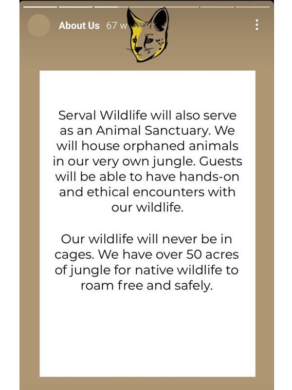 Blood_Lions's tweet photo. NEWS: A brand new “Luxury Eco Lodge and Licenced Zoo” on the Western slopes of Kilimanjaro in Tanzania was brought to Blood Lions attention this week.
Read more: https://t.co/TJGuR6iEdB https://t.co/YdcI0wEnVc