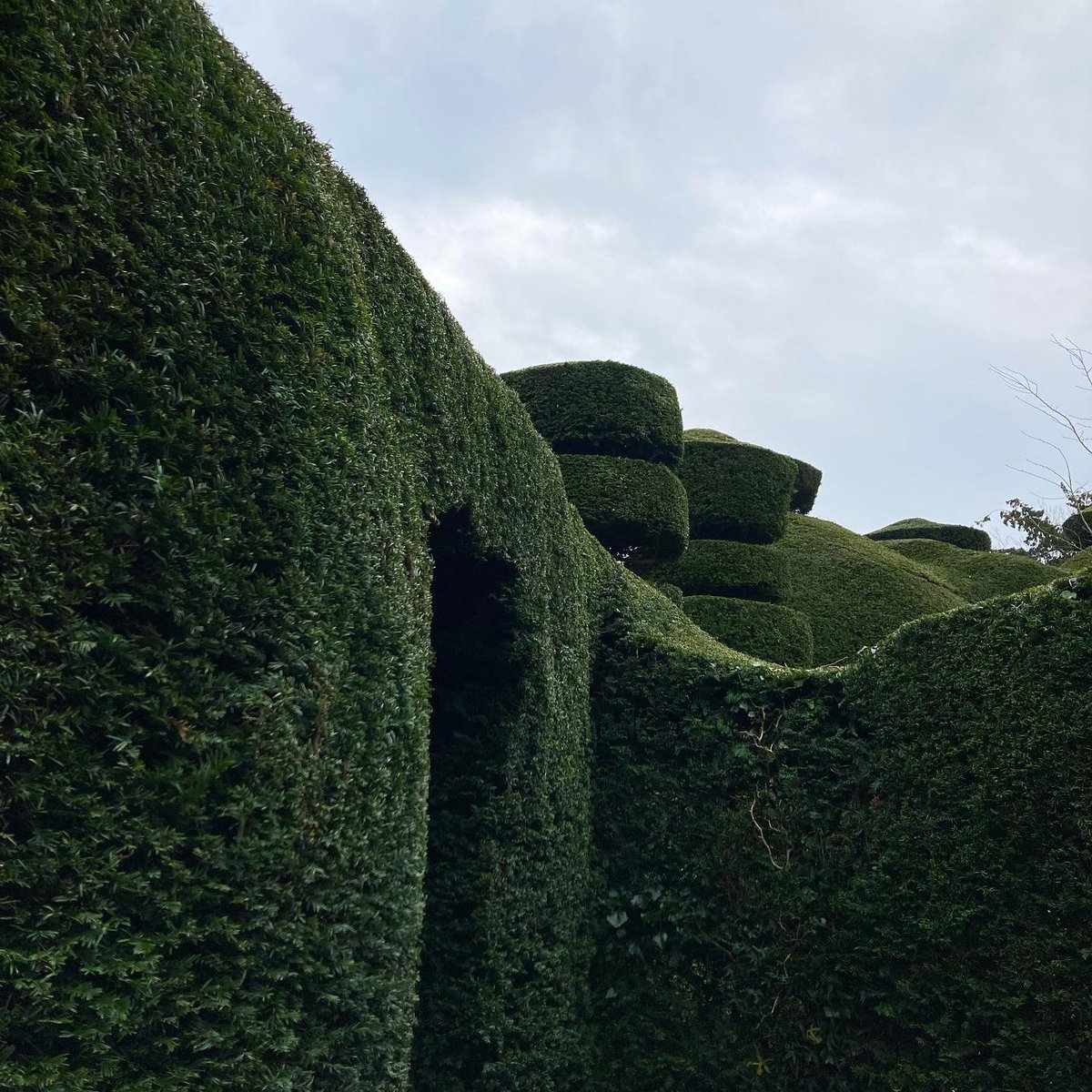 Abandon Normal Devices tweet media