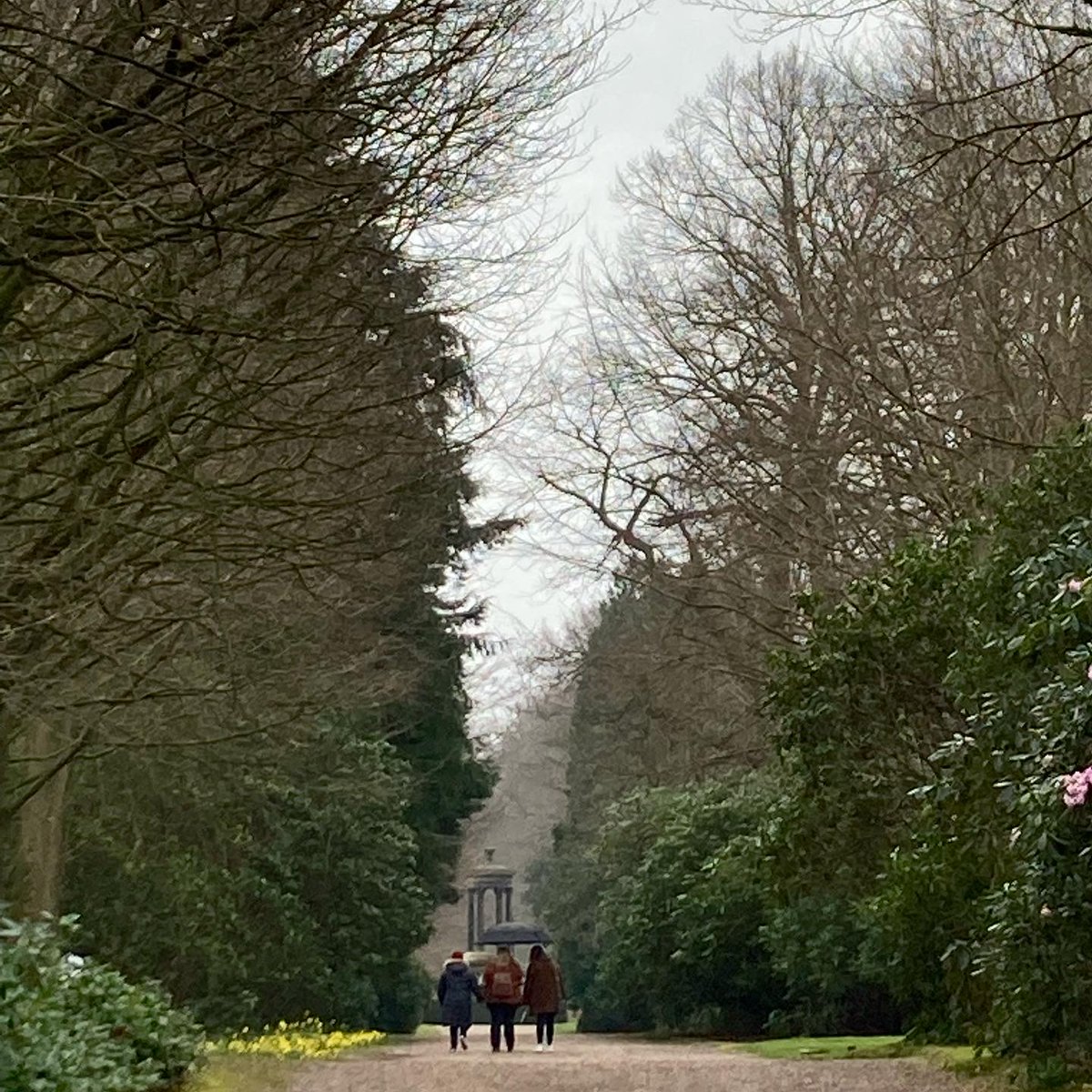 Abandon Normal Devices tweet media