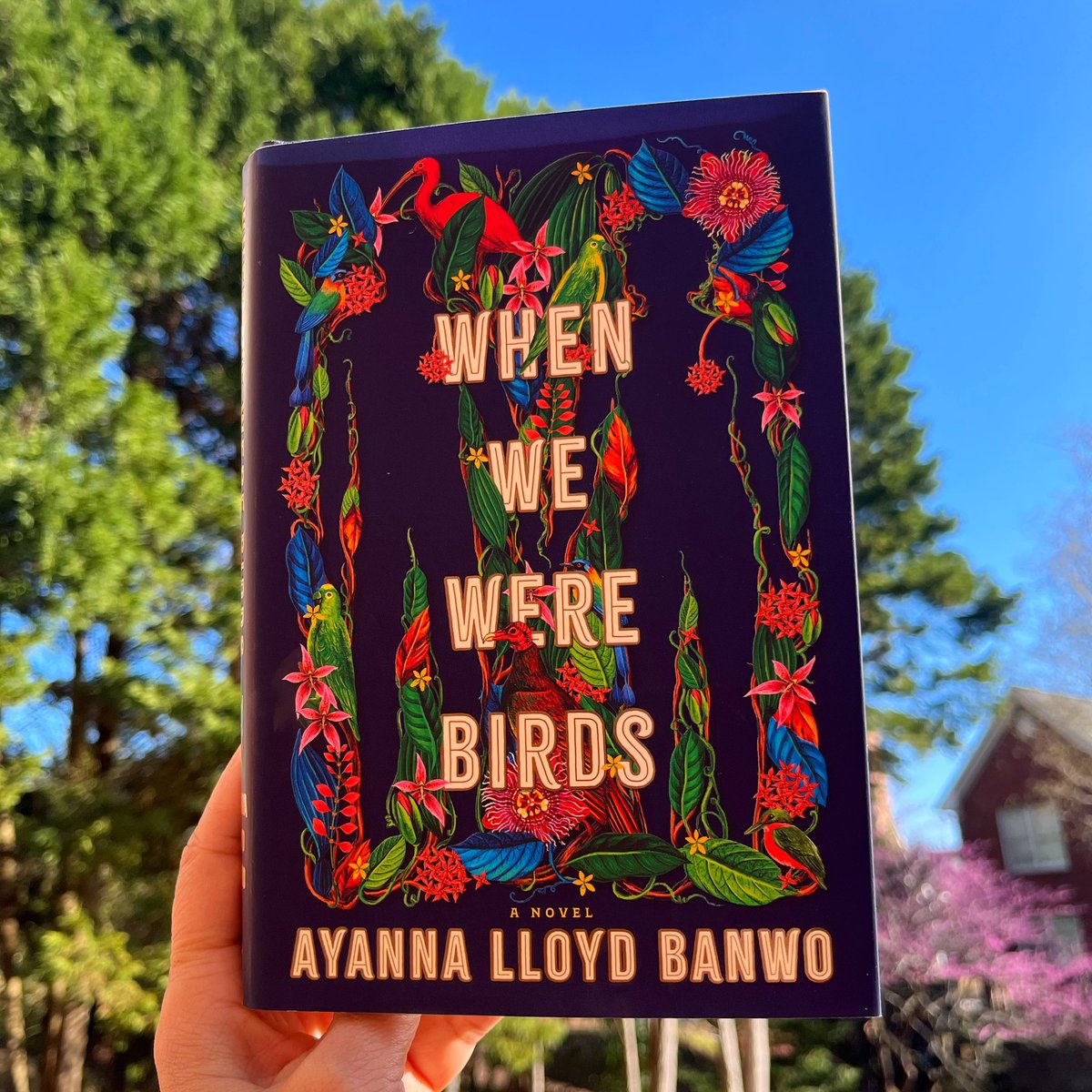 How could I not table this picture outside listening to the sounds of birds, sunshine and nature? #whenwewerebirds #blacklit #newbook