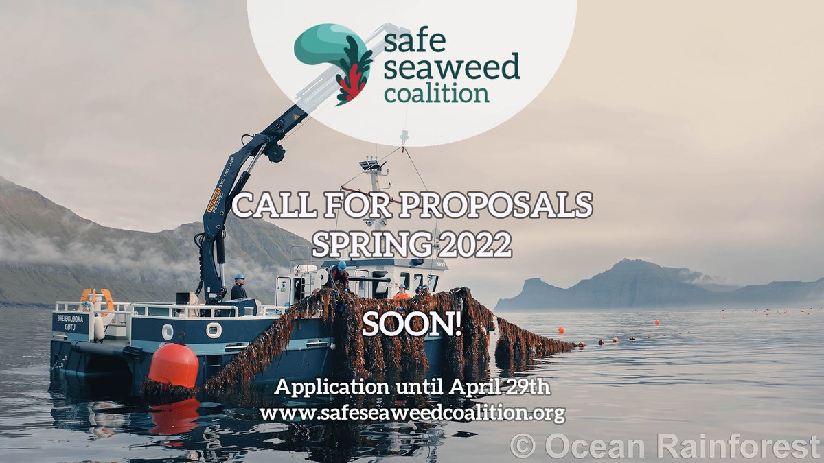 📣 Our second call for proposals will open soon, be ready! Application until April 29th! 📝

Detailed topics and conditions very soon, on safeseaweedcoalition.org 

#SafeSeaweedCoalition
#SeaweedRevolution
#CallForProposals

🌊🌊🌊