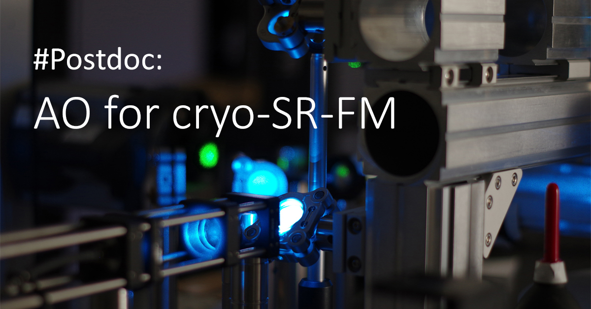 We are looking for a Postdoc with a background in #AdaptiveOptics to improve cryo super-resolution FM and cryo-CLEM. Interested in a “cool” AO project at the interface of physics and biology here at the @CSSBHamburg? Get in touch! uni-hamburg.de/en/stellenange… Please RT #ScienceJobs